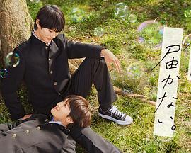 纳雍县网站优化营销